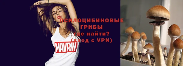 а пвп мука Абдулино